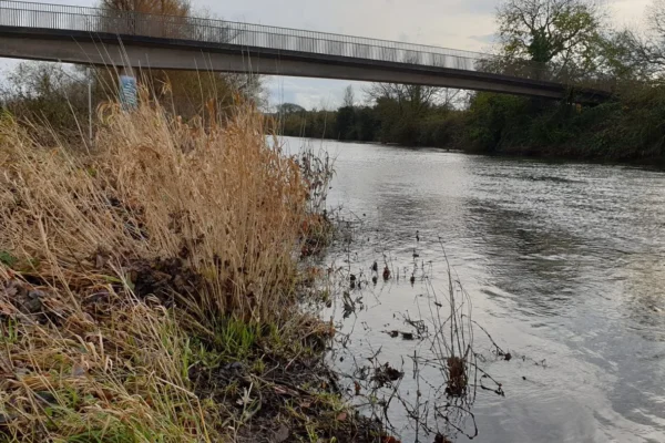 High Energy Inter Tidal Solution on the River Exe