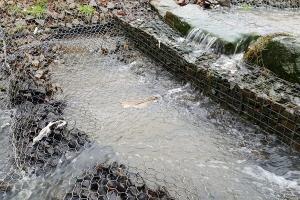 Our Rock Products are the (Jack’s) Key to Preventing Erosion