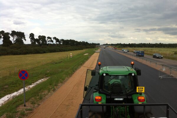 Green swales on roadside