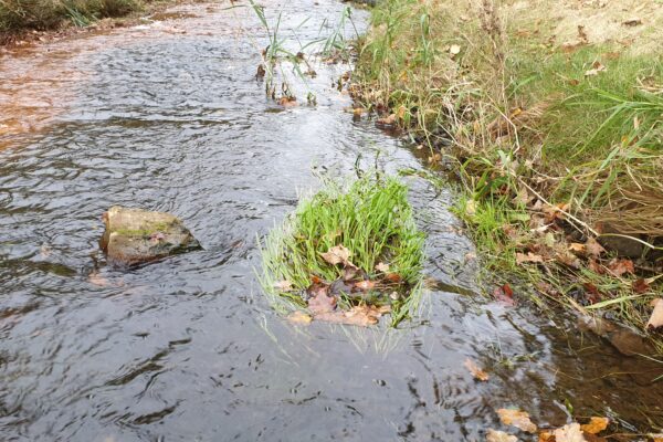 Our Rock Products are the (Jack’s) Key to Preventing Erosion