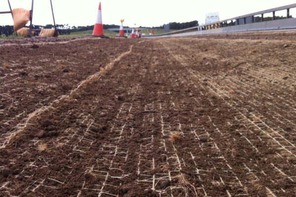 Green Swales on Roadside