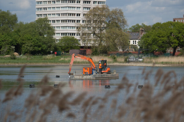Woodberry wetlands
