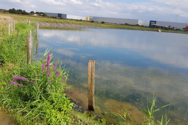 Using Carbon Neutral Wetland Habitat to Prevent Erosion in Iport Doncaster