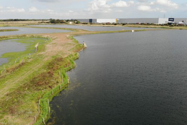 Using Carbon Neutral Wetland Habitat to Prevent Erosion in Iport Doncaster