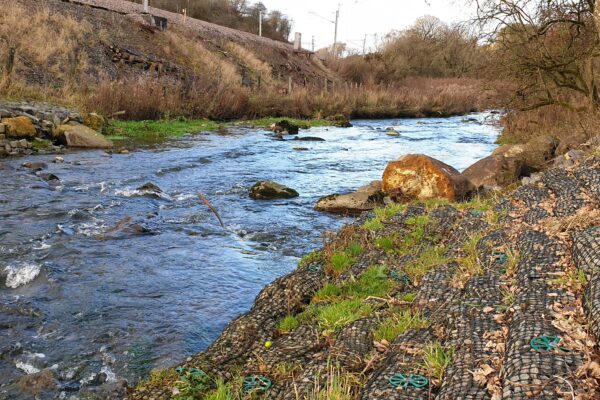 Erosion Protection on the River Leith, Thrimby, Network Rail