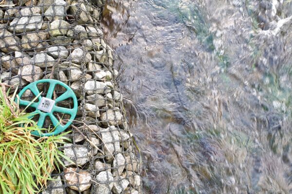 Erosion Protection on the River Leith, Thrimby, Network Rail
