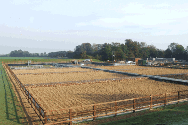 Floating Reedbed Maintenance, Papworth Everard