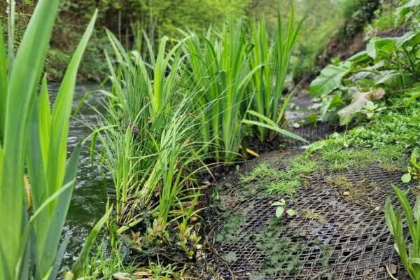 Brookside business park