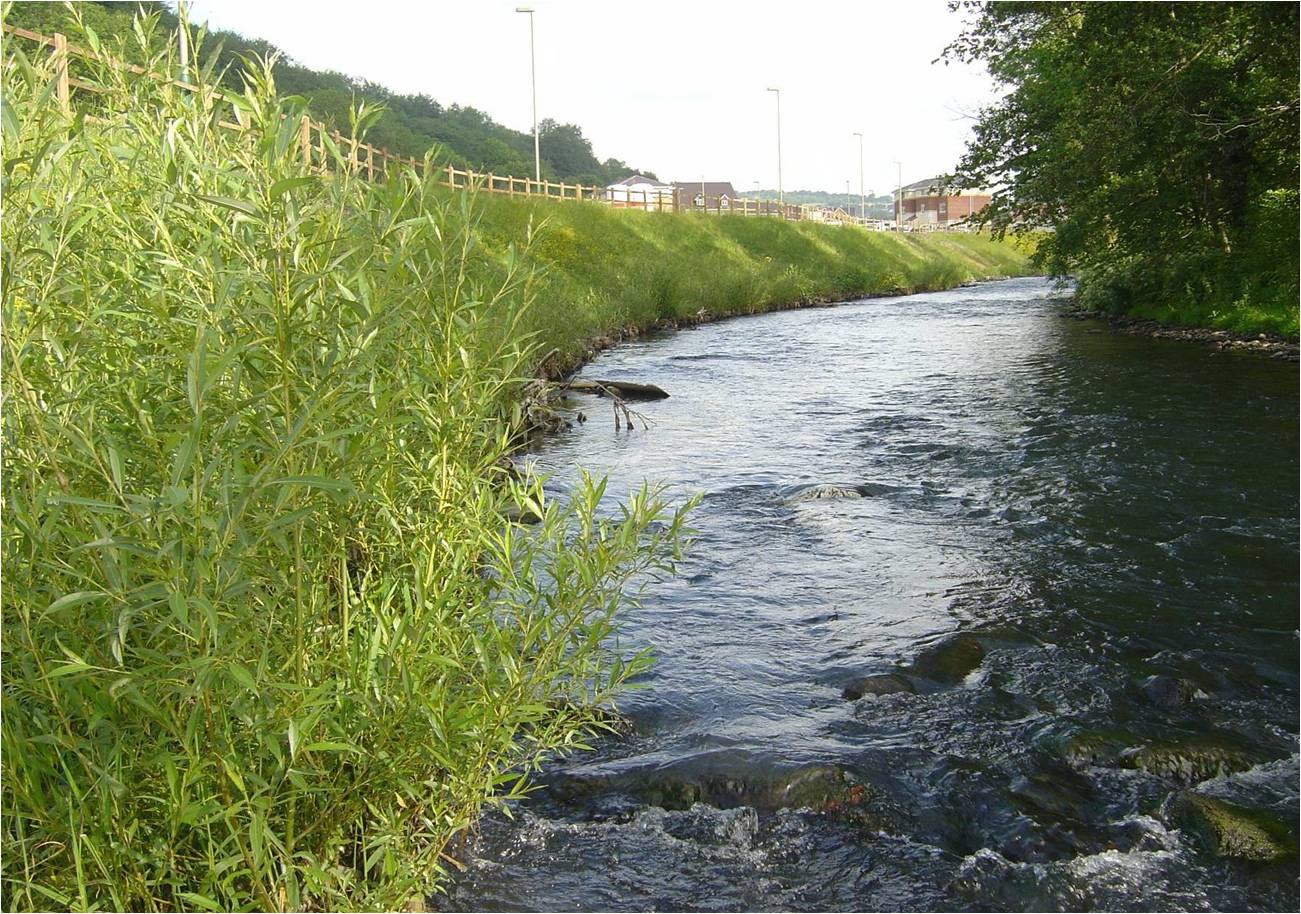 River Ebbw