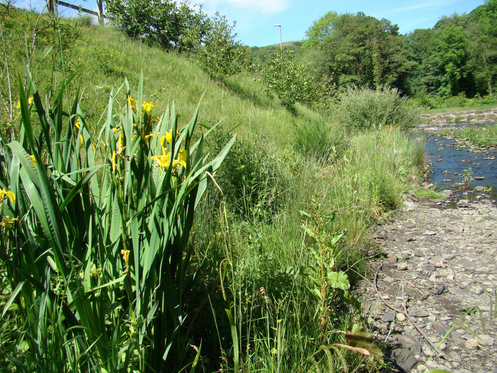 River Ebbw