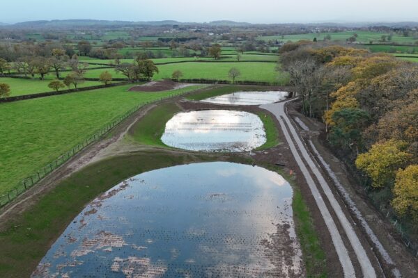 On behalf of DCWW (Dŵr Cymru Welsh Water) and as part of an AMP7 trial, Salix completed works on an Integrated Constructed Wetland (ICW) at Tremeirchion waste water treatment works.