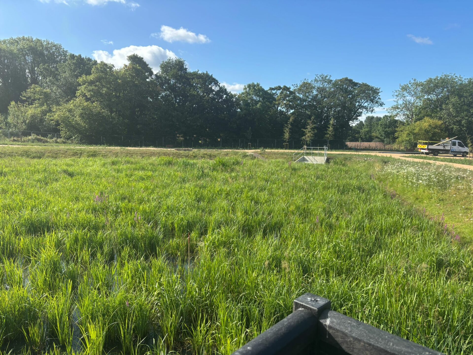 On behalf of DCWW (Dŵr Cymru Welsh Water) and as part of an AMP7 trial, Salix completed works on an Integrated Constructed Wetland (ICW) at Tremeirchion waste water treatment works.