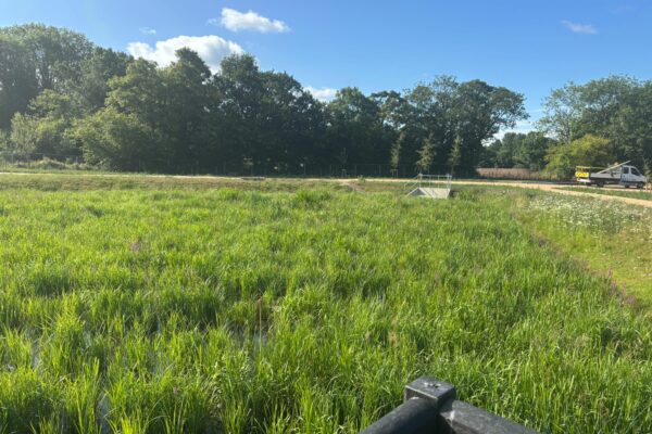 On behalf of DCWW (Dŵr Cymru Welsh Water) and as part of an AMP7 trial, Salix completed works on an Integrated Constructed Wetland (ICW) at Tremeirchion waste water treatment works.