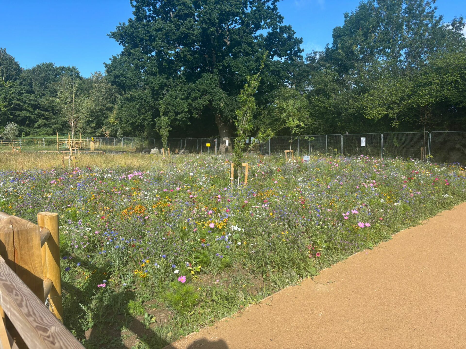On behalf of DCWW (Dŵr Cymru Welsh Water) and as part of an AMP7 trial, Salix completed works on an Integrated Constructed Wetland (ICW) at Tremeirchion waste water treatment works.