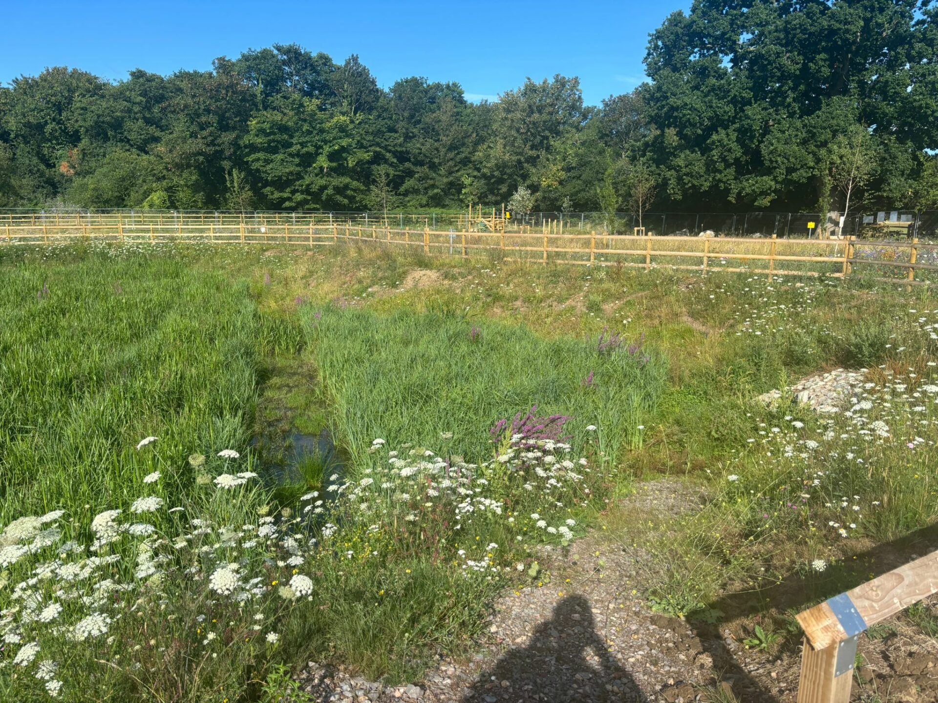 On behalf of DCWW (Dŵr Cymru Welsh Water) and as part of an AMP7 trial, Salix completed works on an Integrated Constructed Wetland (ICW) at Tremeirchion waste water treatment works.