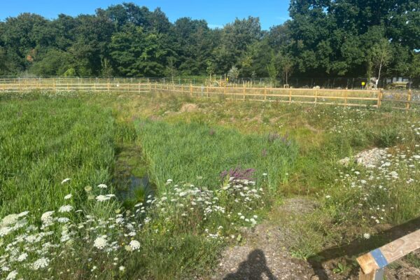 On behalf of DCWW (Dŵr Cymru Welsh Water) and as part of an AMP7 trial, Salix completed works on an Integrated Constructed Wetland (ICW) at Tremeirchion waste water treatment works.