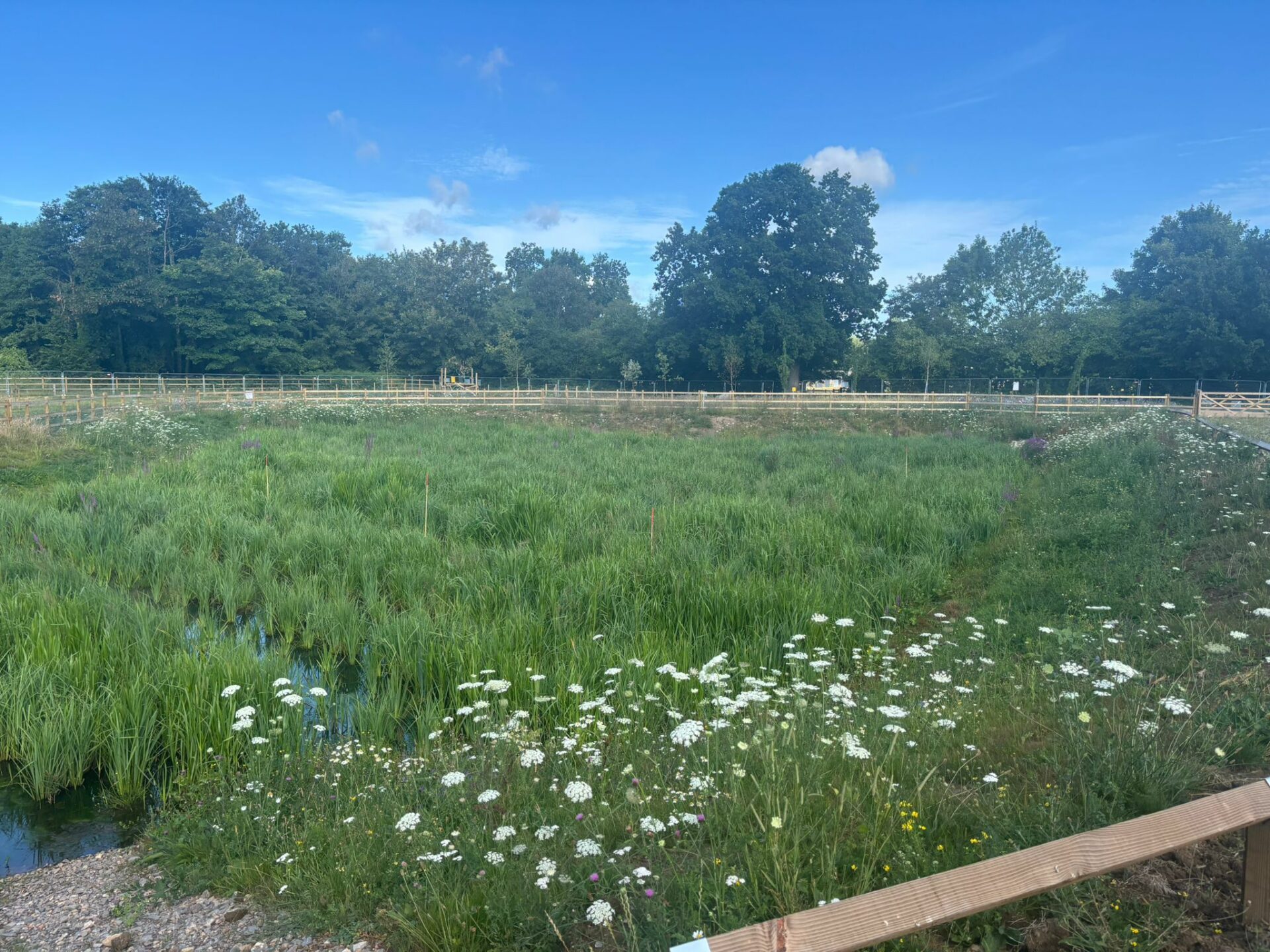 On behalf of DCWW (Dŵr Cymru Welsh Water) and as part of an AMP7 trial, Salix completed works on an Integrated Constructed Wetland (ICW) at Tremeirchion waste water treatment works.