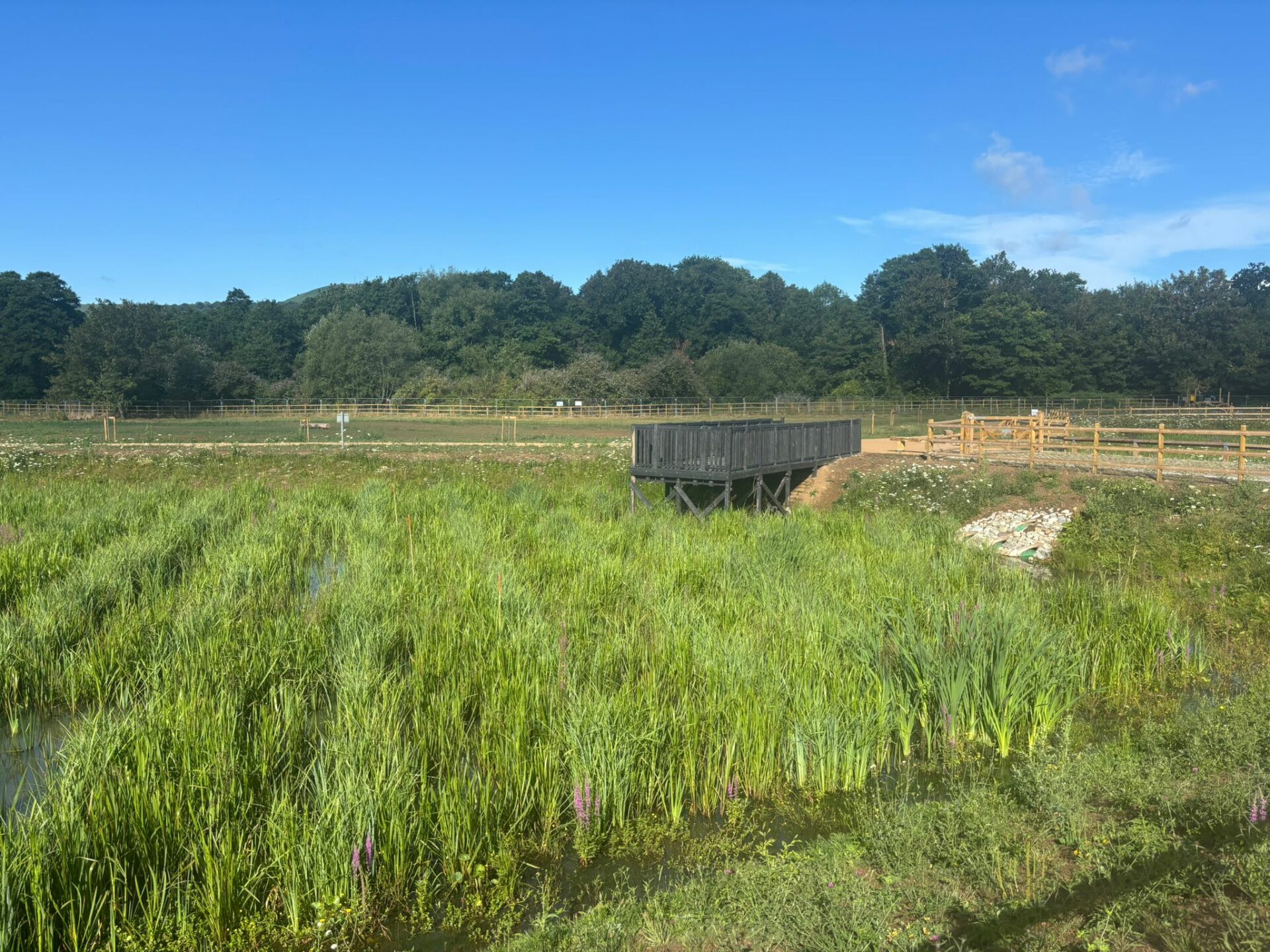 On behalf of DCWW (Dŵr Cymru Welsh Water) and as part of an AMP7 trial, Salix completed works on an Integrated Constructed Wetland (ICW) at Tremeirchion waste water treatment works.