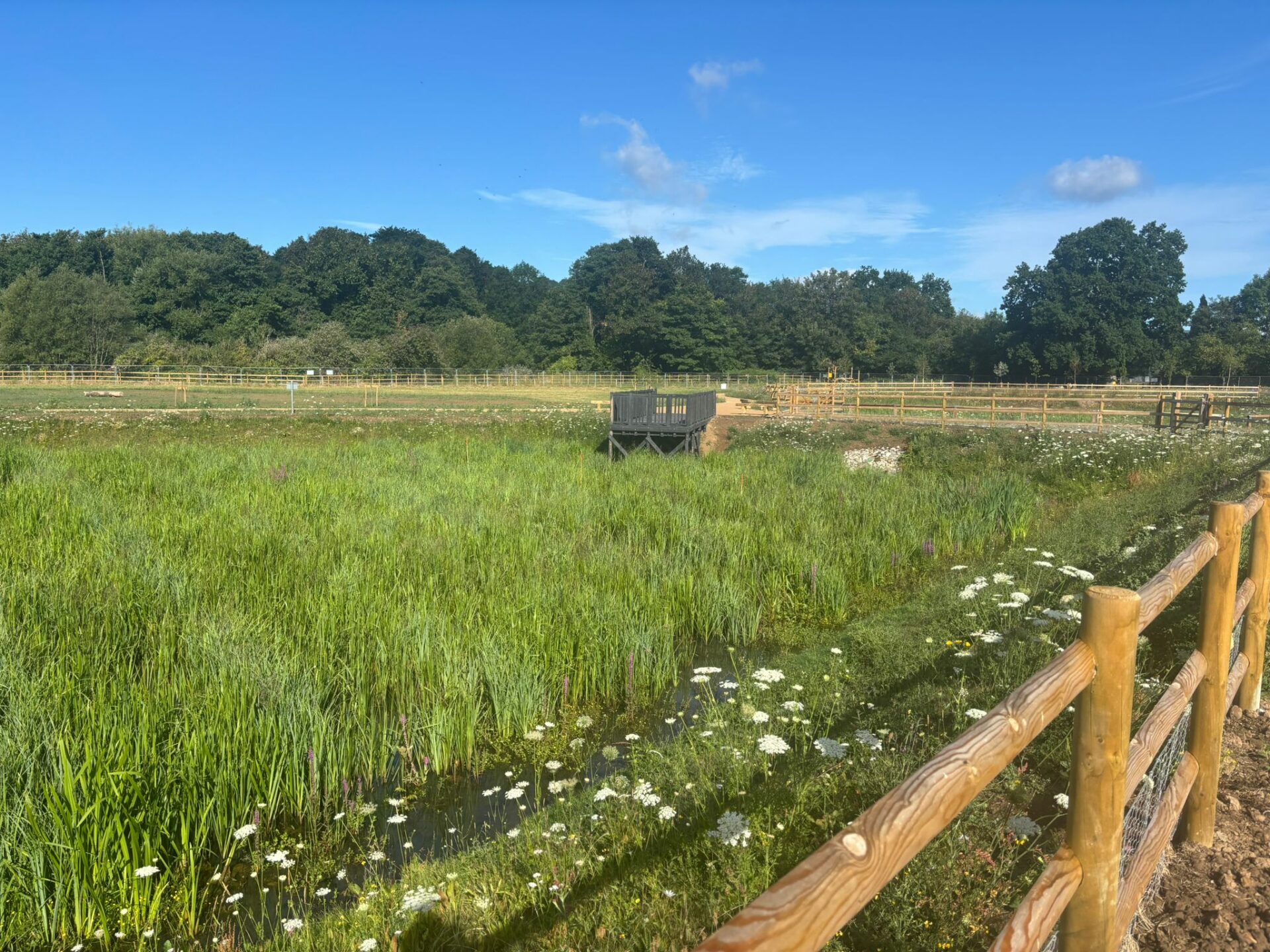 On behalf of DCWW (Dŵr Cymru Welsh Water) and as part of an AMP7 trial, Salix completed works on an Integrated Constructed Wetland (ICW) at Tremeirchion waste water treatment works.