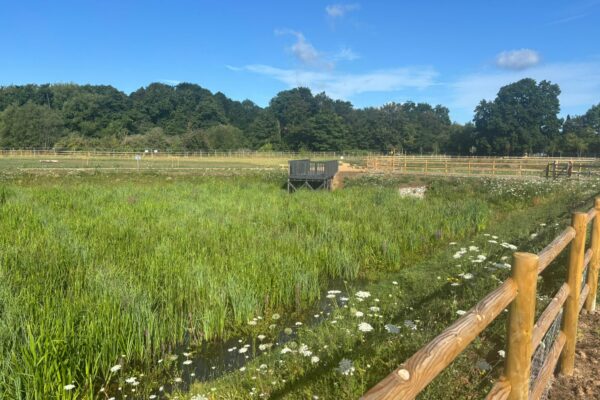 On behalf of DCWW (Dŵr Cymru Welsh Water) and as part of an AMP7 trial, Salix completed works on an Integrated Constructed Wetland (ICW) at Tremeirchion waste water treatment works.