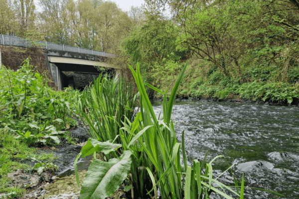 Brookside Business Park