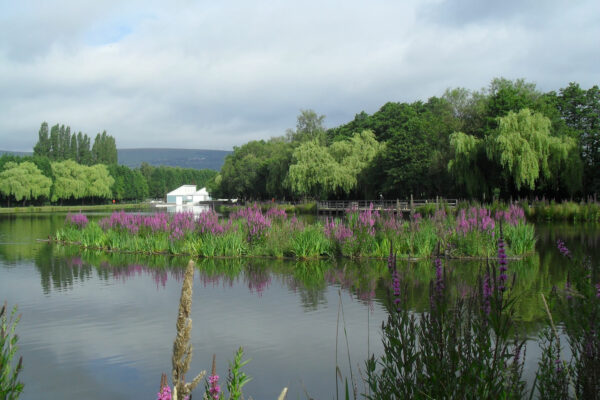 cwmbran-boating-lake