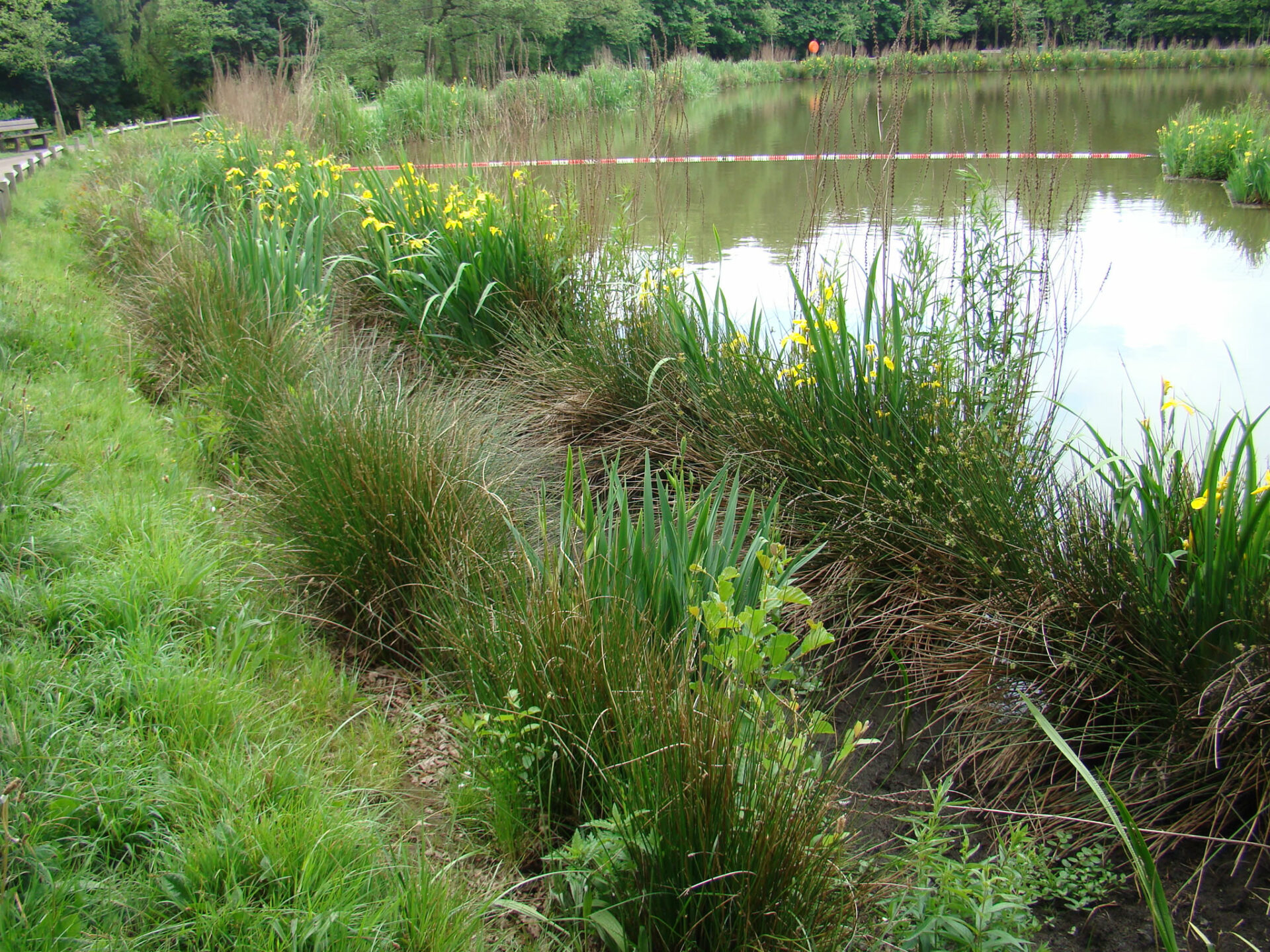 cwmbran-boating-lake