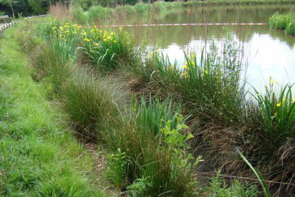 cwmbran-boating-lake