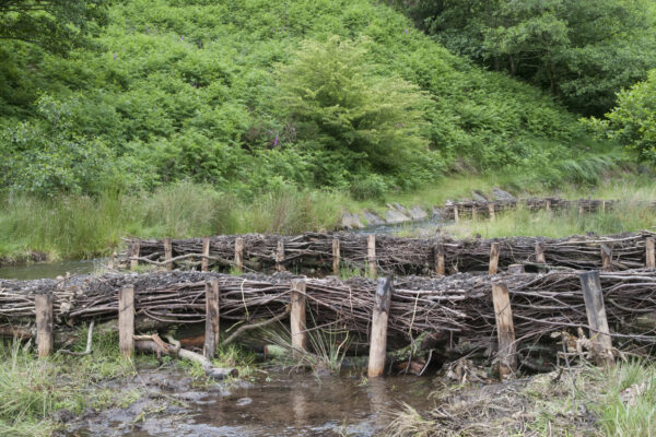 Cwmparc River Restoration
