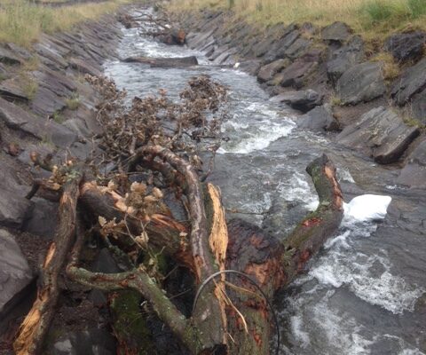 Cwmparc River Restoration