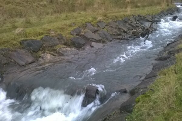 Cwmparc River Restoration