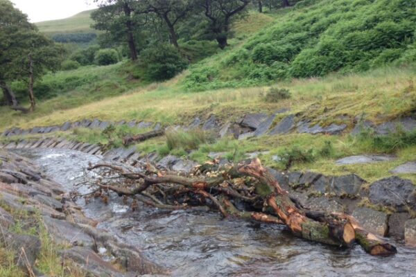 Cwmparc River Restoration