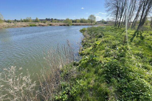 River Avon