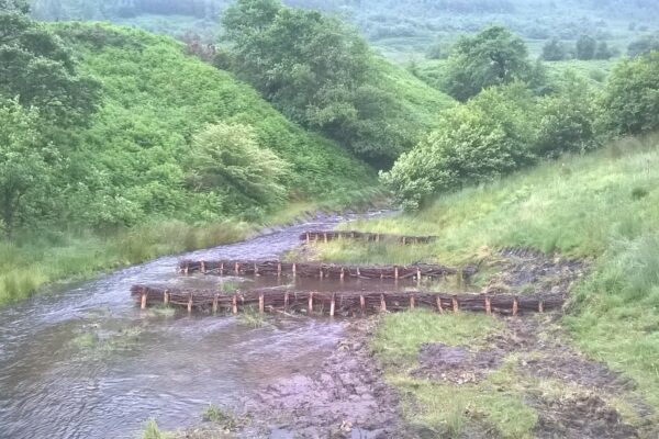 Cwmparc River Restoration