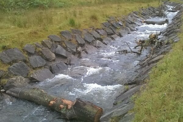 Cwmparc River Restoration