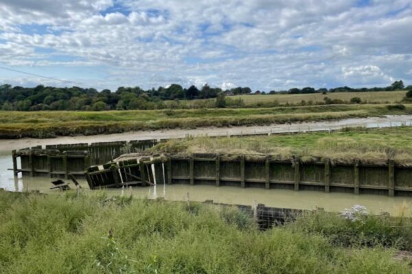 River-bank-view-of-river-rother