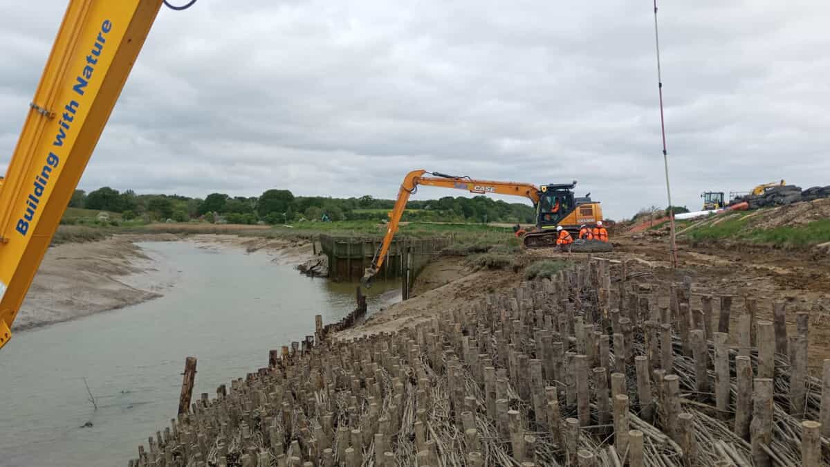 brushwood-fascines-on-river-rother