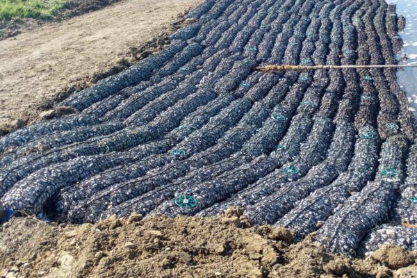 rock-mattresses-in-position-on-river-rother-bank