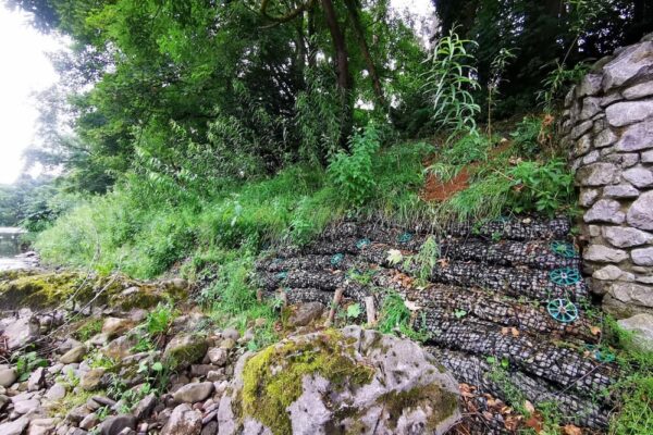 river-bank-restoration-2-years-on